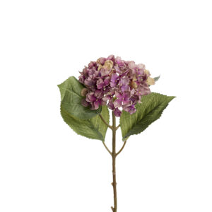 Hortensia 45cm Lila