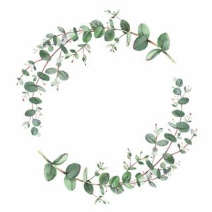Lunchservett Eucalyptus Branche White