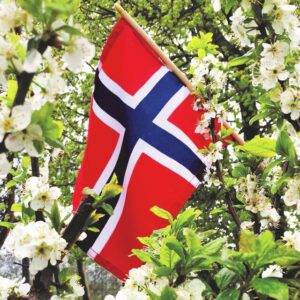 Lunchservett Flag apple tree blossom