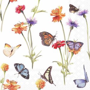 Kaffeservett Butterfly Garden White