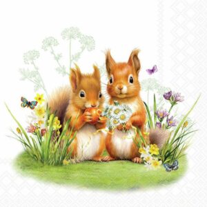 Kaffeservett Little Squirrels