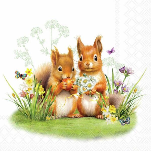 Kaffeservett Little Squirrels