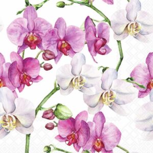 Lunchservett Elegant Orchids White