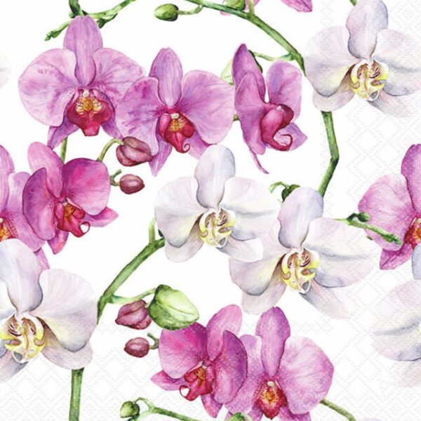 Lunchservett Elegant Orchids White