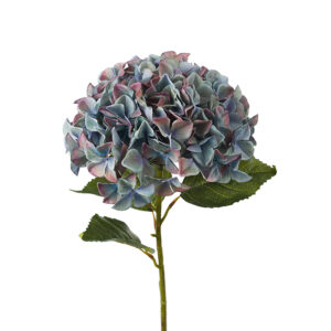 Hortensia 110cm Jeansblå
