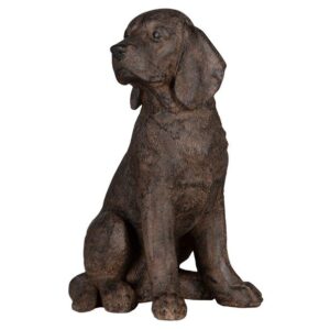 Hund Stövare