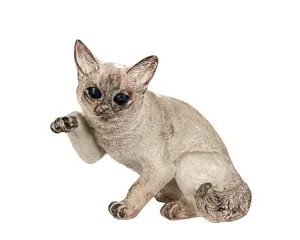 Katt beige