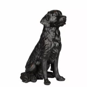 Hund Golden svart/brun