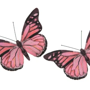 Fjäril clip rose