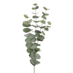 Eucalyptus 4stjälkar 60cm grön