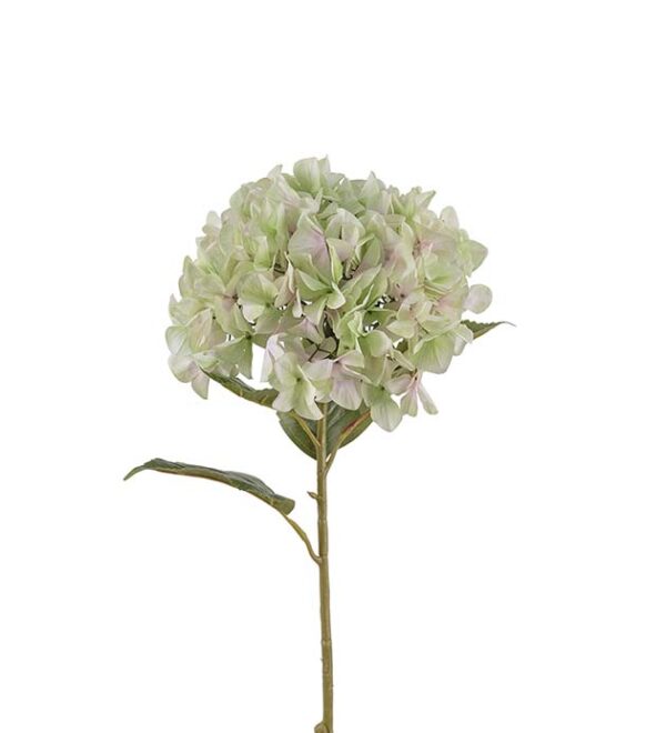 Hortensia 110cm Lime
