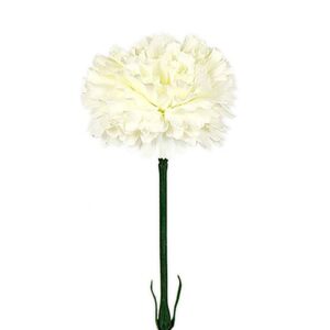 Nejlika 55cm vit