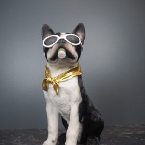 Dolph Dog