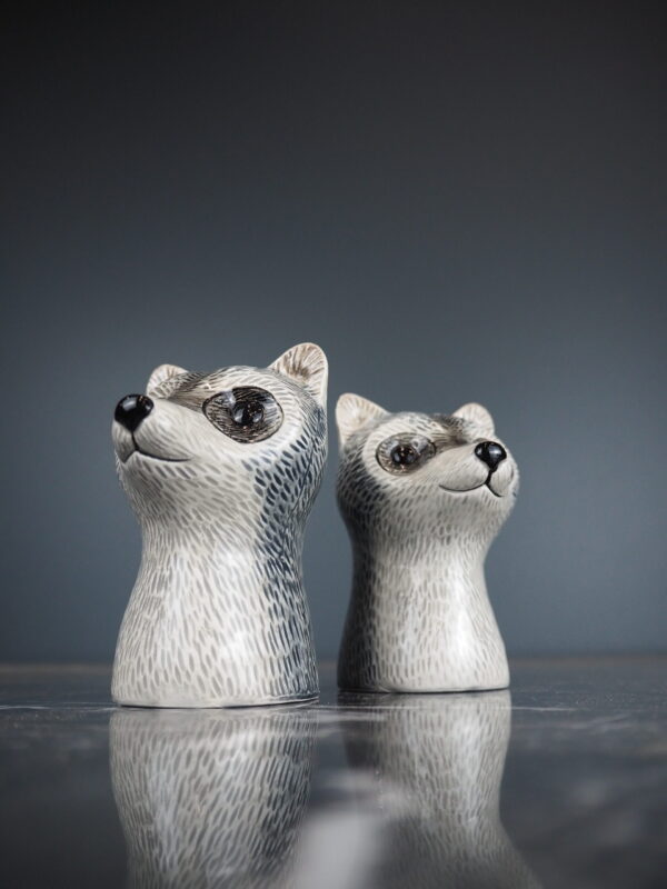 River Raccoon Salt&Pepper Set
